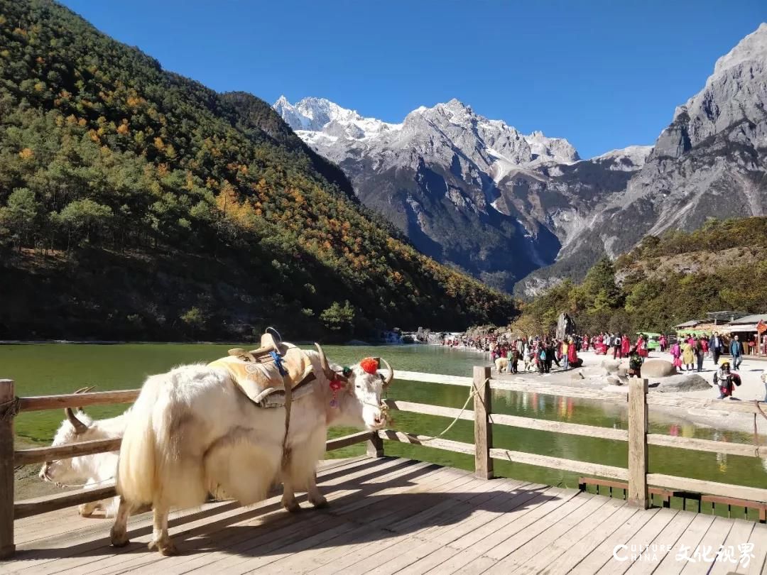 苍山覆盖白雪，月光洒满洱海——嘉华旅游带你开启“醉美云南”之旅