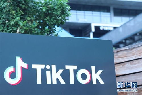 TikTok全球CEO梅耶尔辞职 从迪士尼跳槽加盟仅3个月