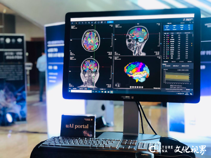 中国人脑图谱研究科创平台发布，实现核心技术自主可控