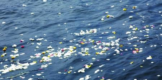 送逝者长眠大海，让大海长系思念——威海市2020年公益性海葬活动将于9月18日在刘公岛新旅游码头举行