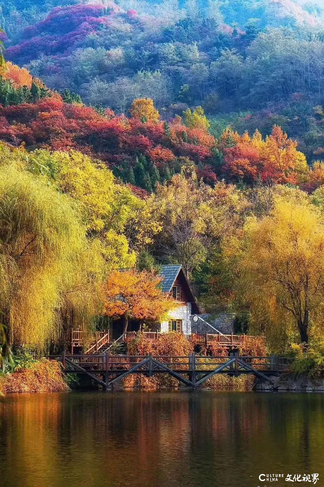 创新融合 浪漫度假——九如山度假风景区亮相第六届（济南）电商博览会