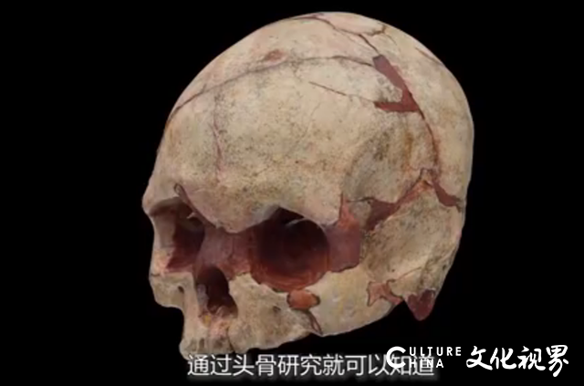 16000年前的人头骨化石长这样？广西隆安县娅怀洞遗址研究取得重大成果