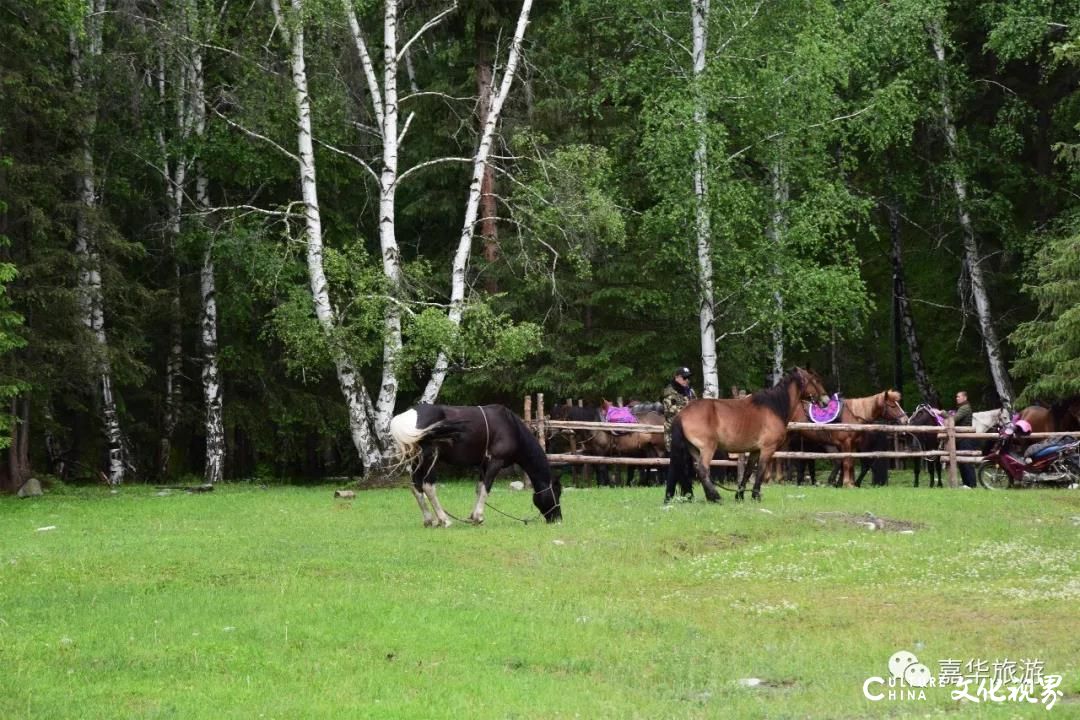 嘉华旅游|去喀纳斯、去天山天池、去火焰山、去胡杨林……新疆是个去了会上瘾的地方