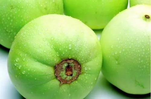 品质优、口碑好，青岛莱西“马连庄甜瓜”入选2020年第二批全国名特优新农产品名录