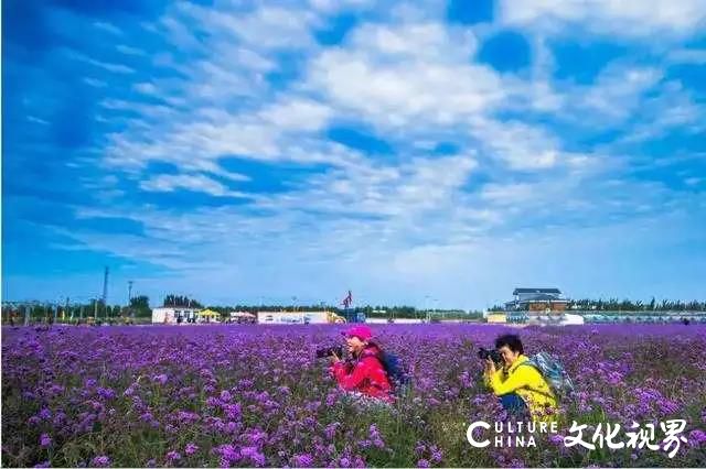 第六届济南花博会明日开启，这些路段将交通管制，绕行路线和参观流程看这里