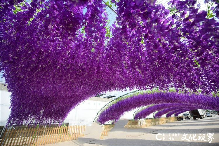 走进温泉花都 拥抱生态商河——花博会农博会今日在济南商河开幕，为期10天