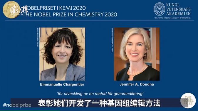 2020年诺贝尔化学奖揭晓，2位女性科学家获奖