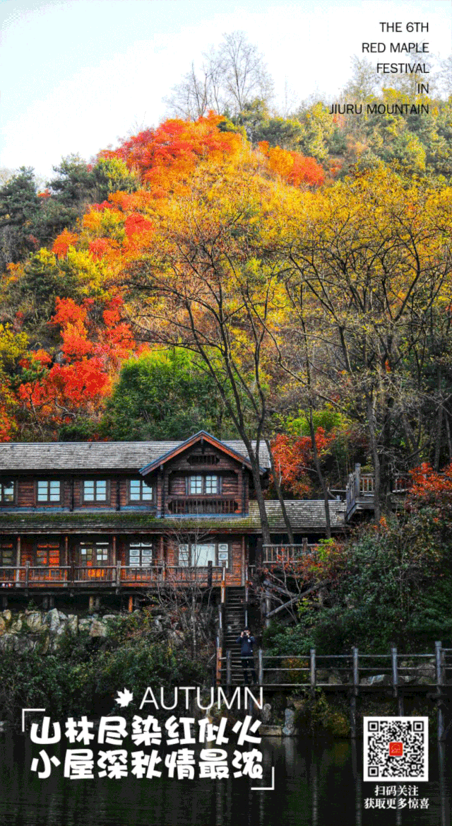 济南最美的秋天都藏在这里了——九如山第六届红枫节今起开幕，送你一个浪漫的赏秋方式！