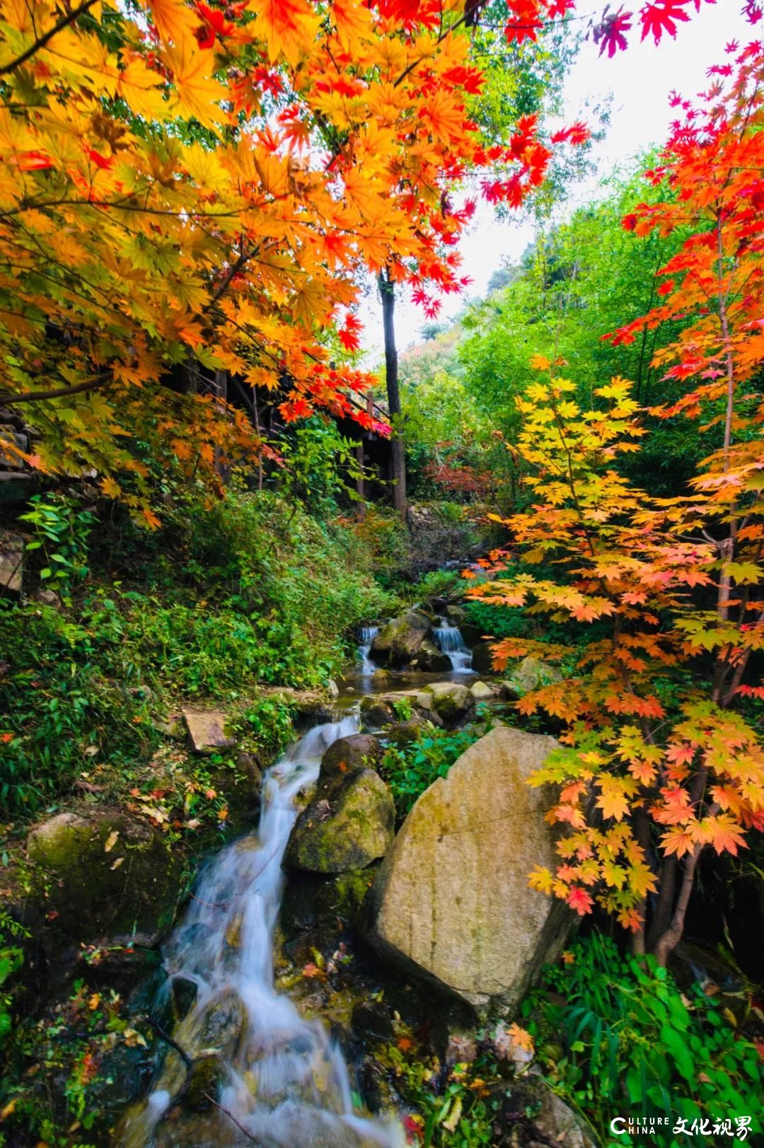 济南最美的秋天都藏在这里了——九如山第六届红枫节今起开幕，送你一个浪漫的赏秋方式！
