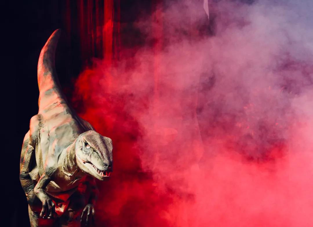与1:1还原的仿真恐龙亲密接触，大型历险互动式儿童舞台剧《侏罗纪时代》11月1日将在山东省会大剧院精彩上演