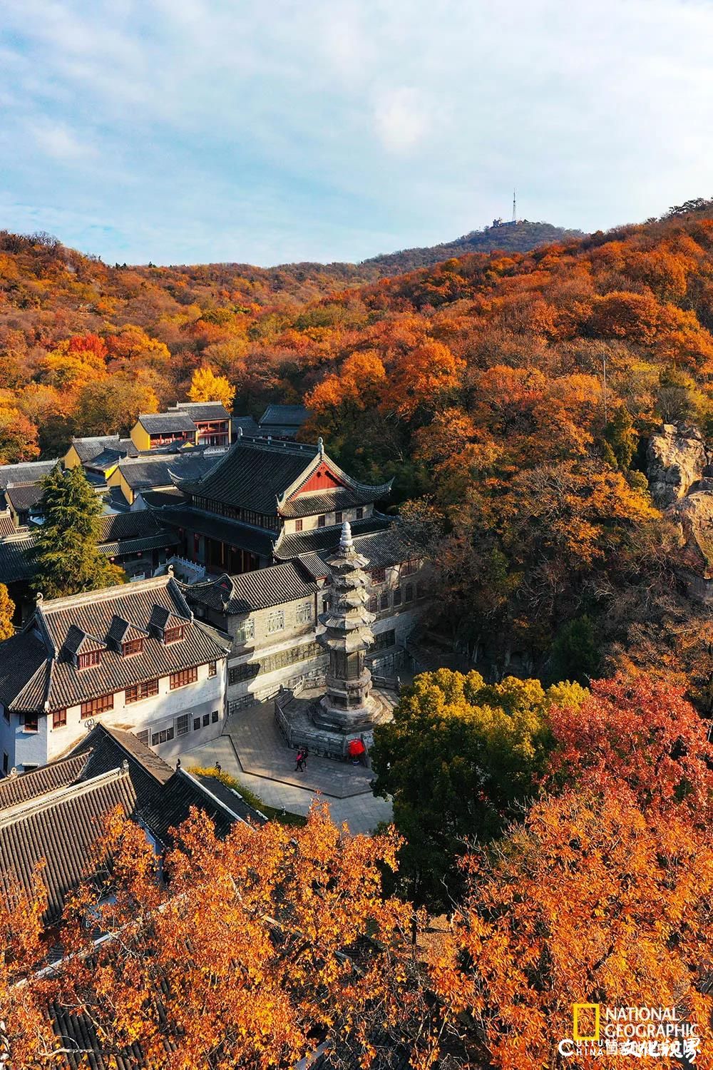 或迷人斑斓 或静谧清冷 或神秘莫测——古都南京最令人沉醉的季节，怎么看都看不够