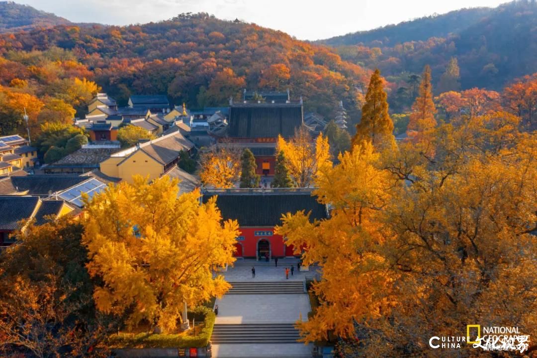 或迷人斑斓 或静谧清冷 或神秘莫测——古都南京最令人沉醉的季节，怎么看都看不够