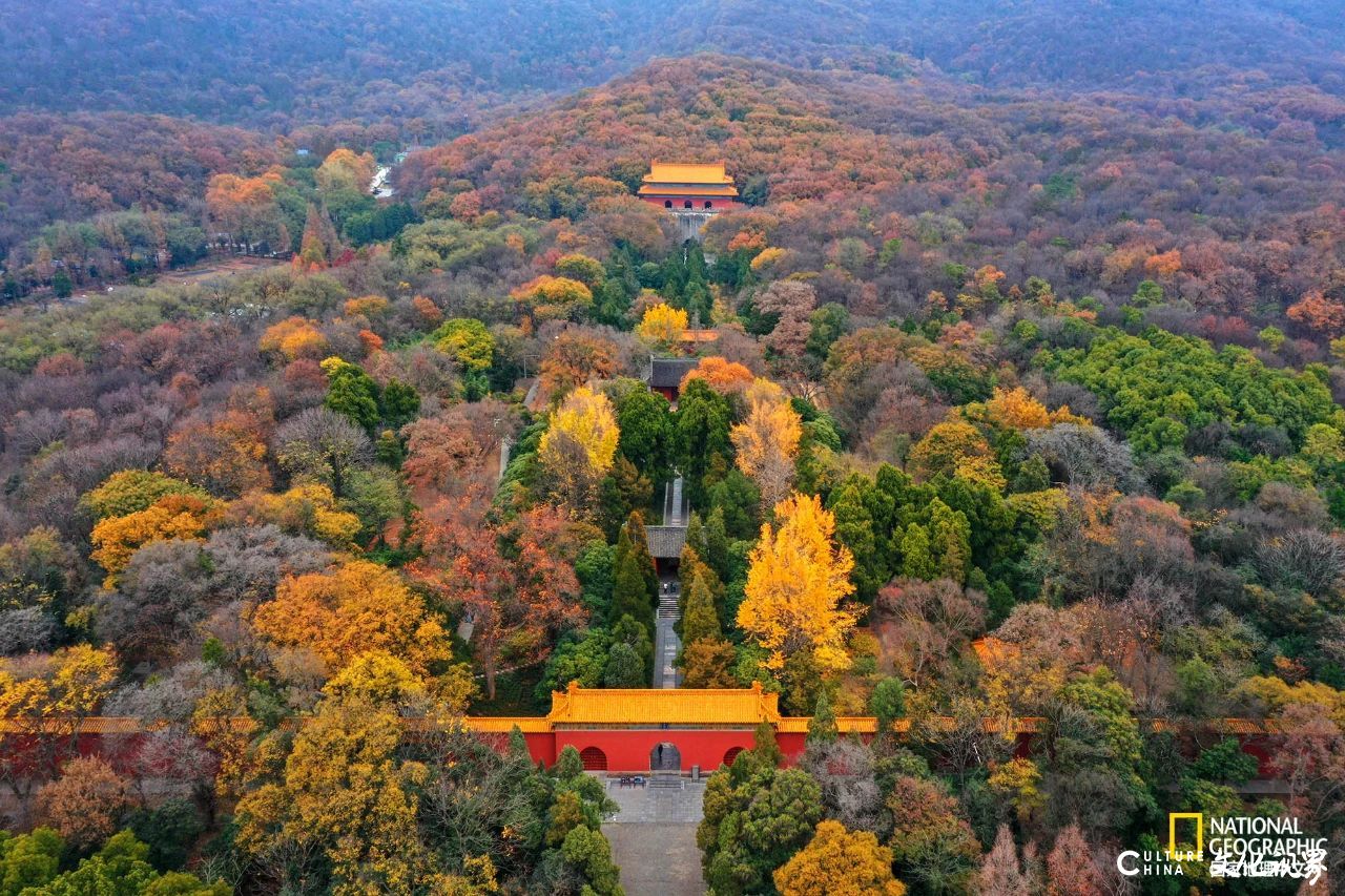 或迷人斑斓 或静谧清冷 或神秘莫测——古都南京最令人沉醉的季节，怎么看都看不够