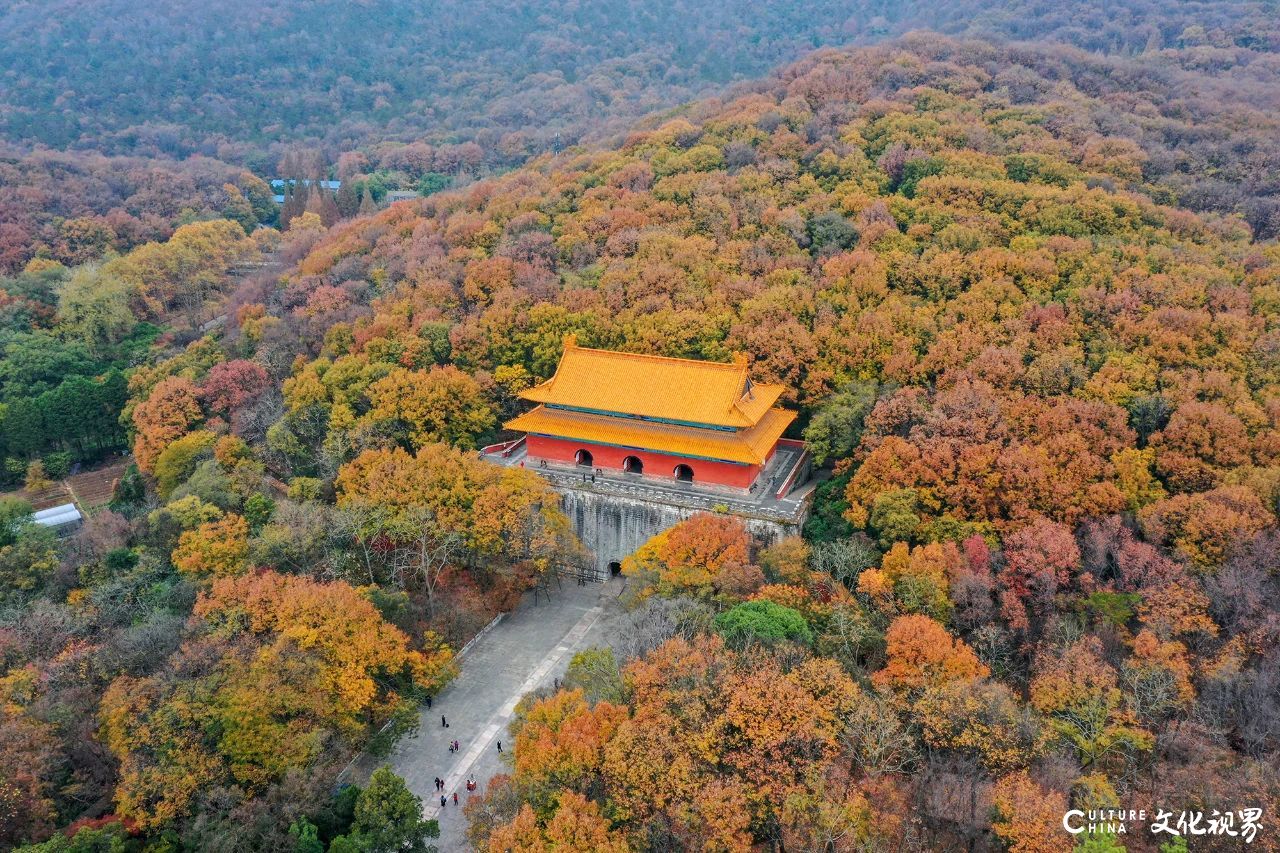 或迷人斑斓 或静谧清冷 或神秘莫测——古都南京最令人沉醉的季节，怎么看都看不够