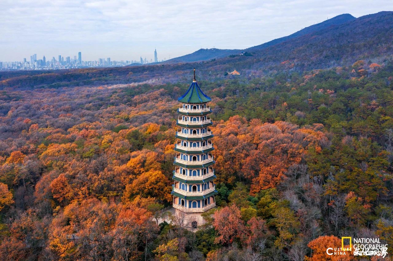 或迷人斑斓 或静谧清冷 或神秘莫测——古都南京最令人沉醉的季节，怎么看都看不够