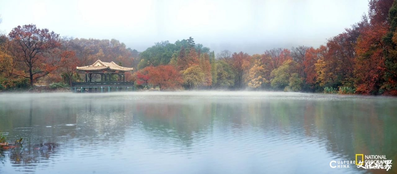 或迷人斑斓 或静谧清冷 或神秘莫测——古都南京最令人沉醉的季节，怎么看都看不够