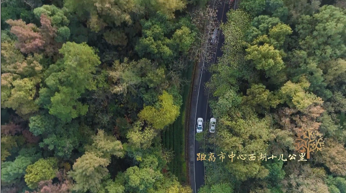 房前有树，屋内有园——泰康之家杭州大清谷最新宣传片震撼首发