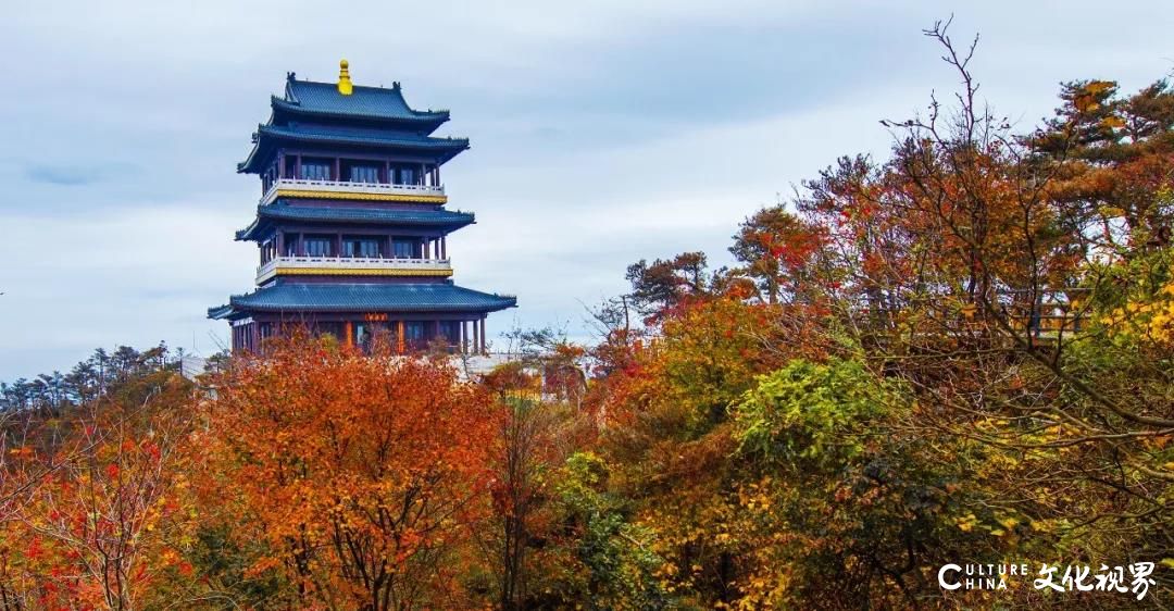 承载着春的希望，酝酿着秋的殷实——深秋，来沂蒙山银座天蒙景区采北国红豆，赏五彩斑斓