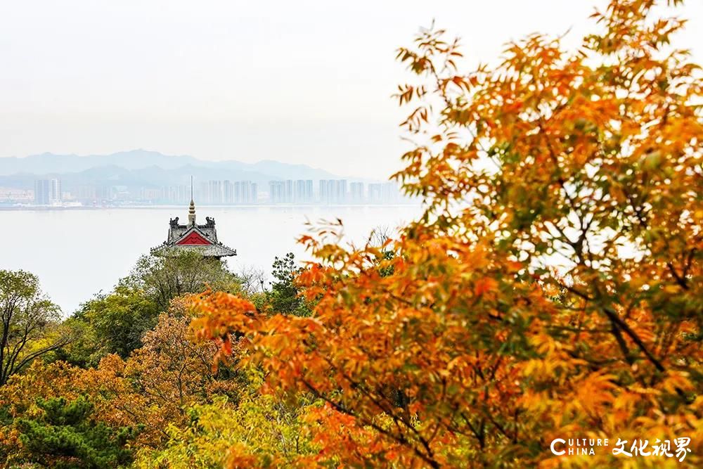 刘公岛晚秋盛景正当时，快来岛上领略碧海蓝天、和风彩树的最美晚秋吧！