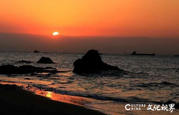 刘公岛晚秋盛景正当时，快来岛上领略碧海蓝天、和风彩树的最美晚秋吧！