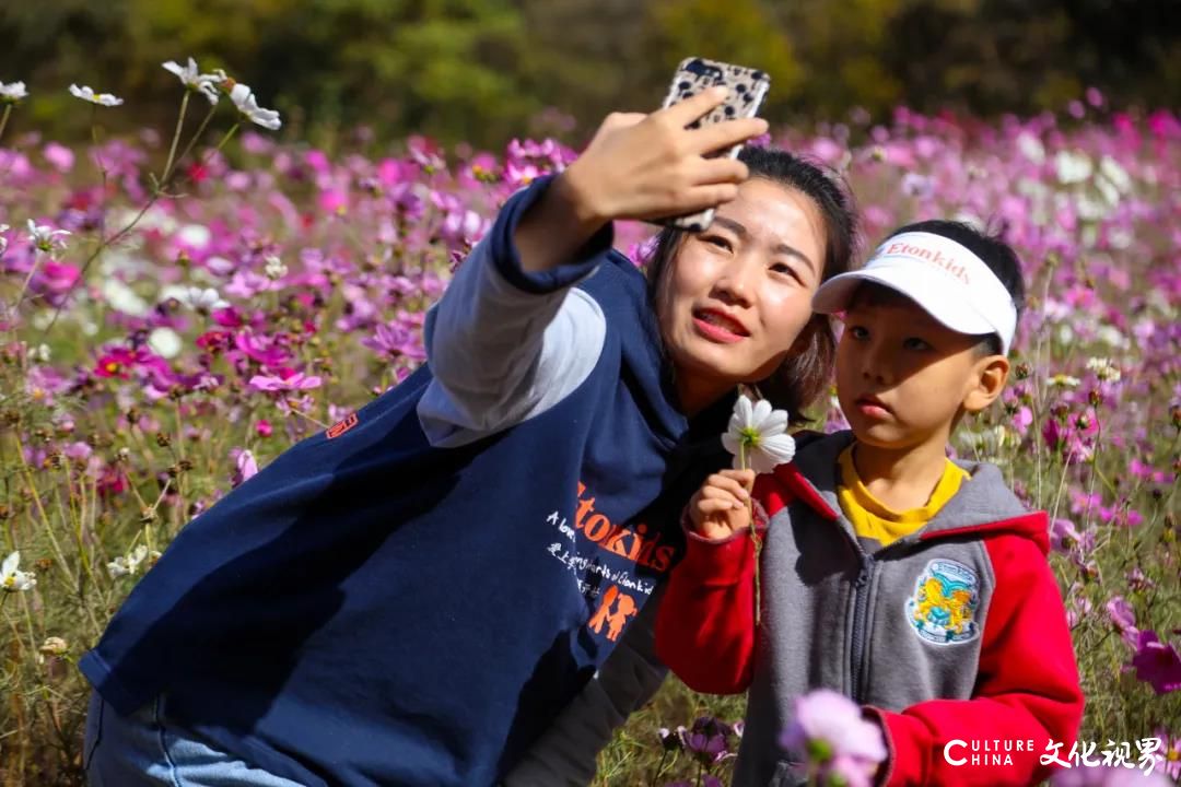 泉润红枫，浪漫木屋 一一济南九如山，一个藏着别样秋日的地方