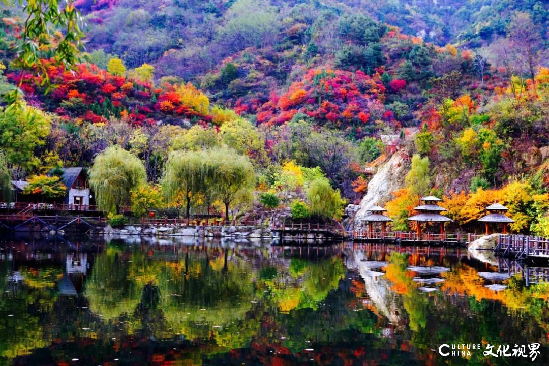 泉润红枫，浪漫木屋 一一济南九如山，一个藏着别样秋日的地方