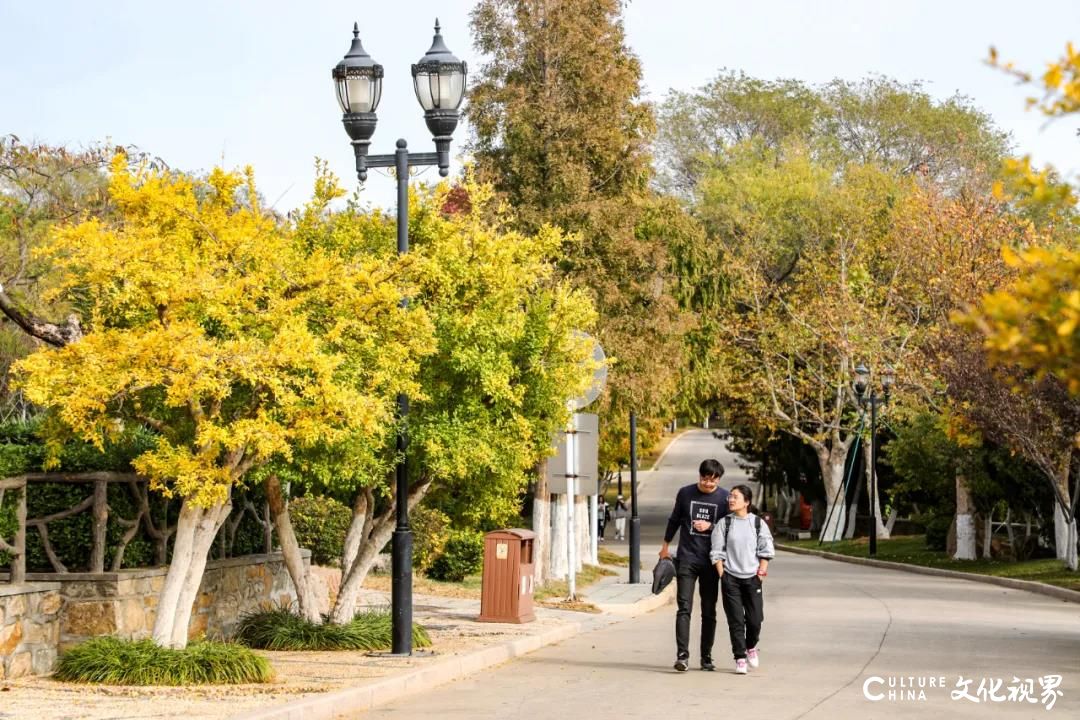 秋色正好，不如带父母到刘公岛，来一场“养心又养身”的金秋康养之旅