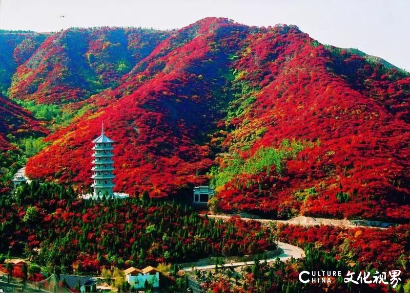 山东“最美高速”济泰高速正式通车，一路美景相伴，泰安到济南只需半小时