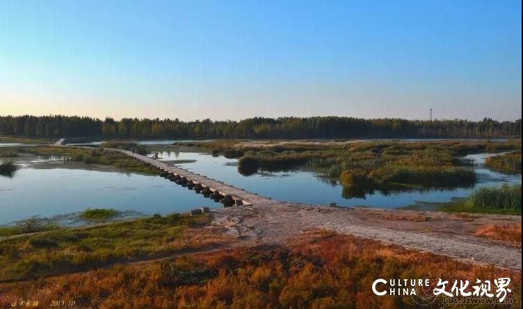 山东“最美高速”济泰高速正式通车，一路美景相伴，泰安到济南只需半小时