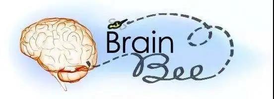 “Brain Bee脑科学大赛”开始报名啦！济南托马斯学校正式成为本次大赛山东赛区承办单位