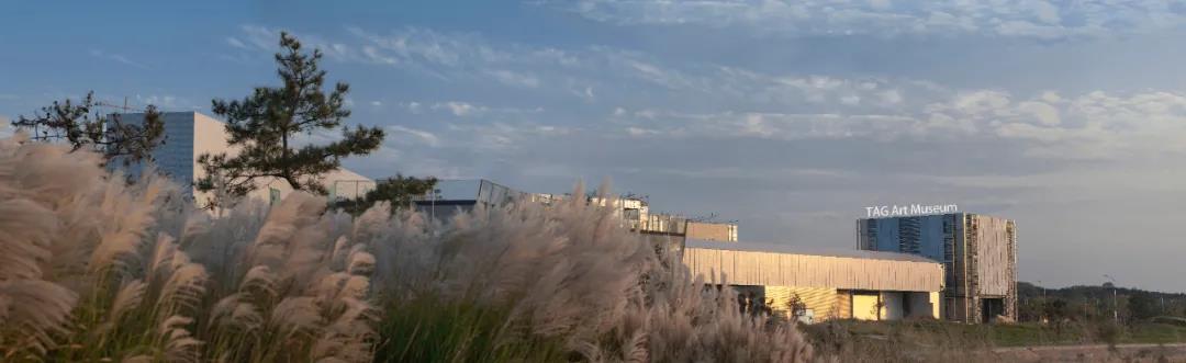 聚焦本土 面向世界——西海美术馆将于2021年正式向公众开放