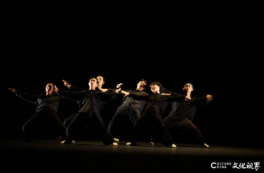 胡沈员现代舞剧《流浪》11月23日邀您在山东省会大剧院见证“迁移中的成长”
