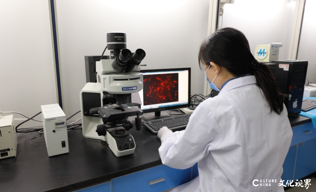中科院院士王福生公布研究结果：干细胞对治疗新冠肺炎安全有效