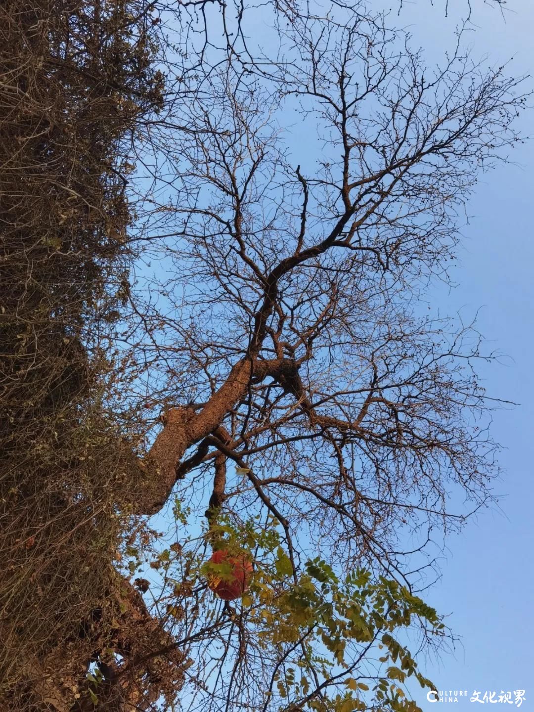 千年石板路，齐长城旧址，章丘梆子戏……走进济南章丘宛若桃源的石匣村