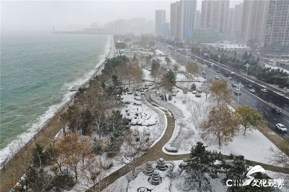 2020年的第一场雪，让威海变成了银装素裹的童话世界