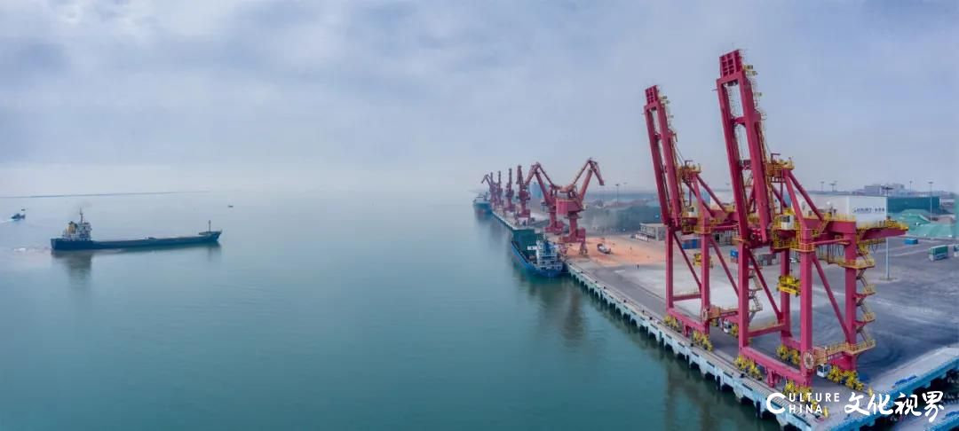 潮起渤海湾，扬帆正当时——山东港口潍坊港、东营港、滨州港融入时代潮涌  奔赴美好未来