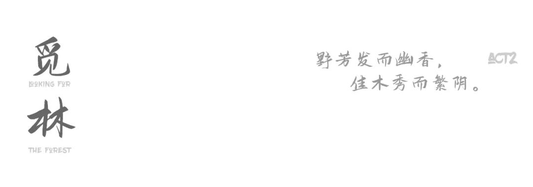 居于林、存于简、柔于光——青岛胶州世茂·海丝国际城汲取自然山水灵感，城央都会大宅即将首发