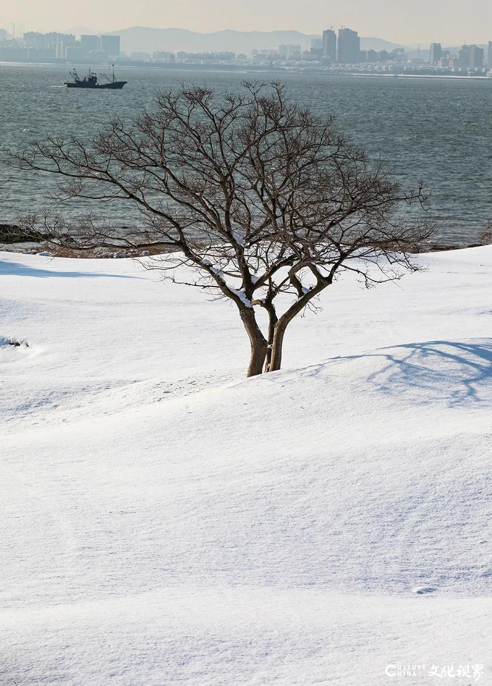 一场雪，一幅画，一首诗——雪落威海，遇见刘公岛最美的模样