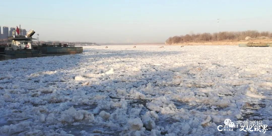 黄河出现罕见大面积封河：满满冰凌纹丝不动，绵延十几公里