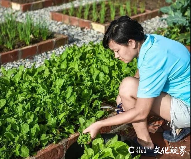 高层价格，别墅生活——济南三庆·龍山墅择址风水福地，成为泉城不可多得的人居“白月光”