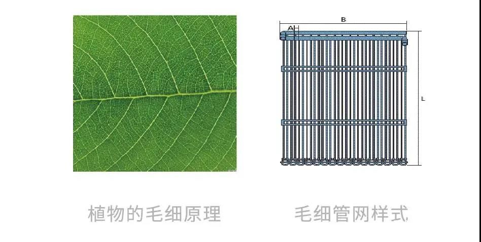 立足六大生命元素    运用12大绿金科技，济南鲁商金茂府给你一整套自由生活的解决方案