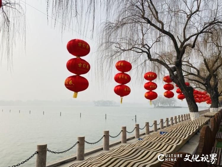 两万盏大红灯笼点亮济南天下第一泉风景区，“红红火火”迎新年