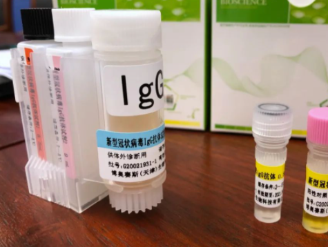 多地核酸检测价格下调至80元，超10个省市纳入医保报销