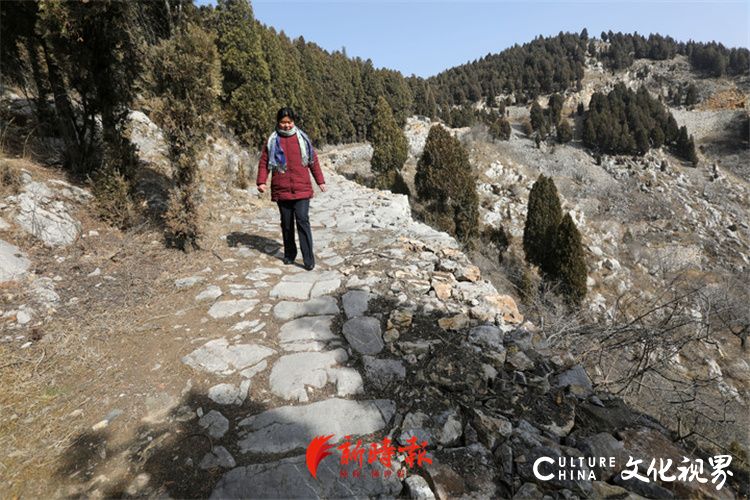 走进济南南部山区，体验千年古道的沧桑与魅力