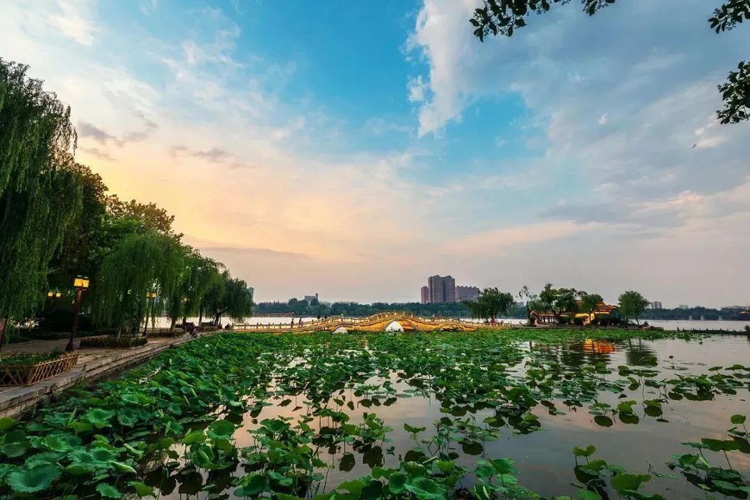 大明湖畔钓虾、蛙……国学大师季羡林在济南的童年趣事