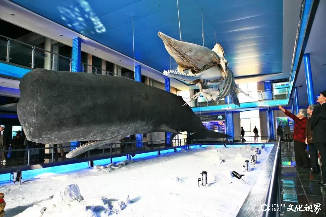 山东命名25家省级海洋意识教育示范基地，威海刘公岛鲸馆榜上有名