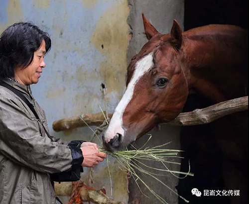 高古又贵气——观国家画院画家蔡源与众不同的马图