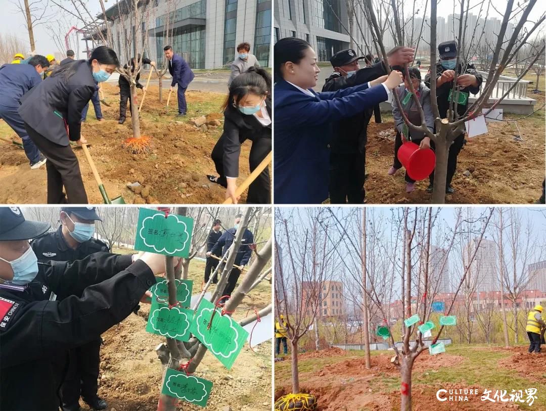 银丰物业与山东省文旅厅联合开展植树活动