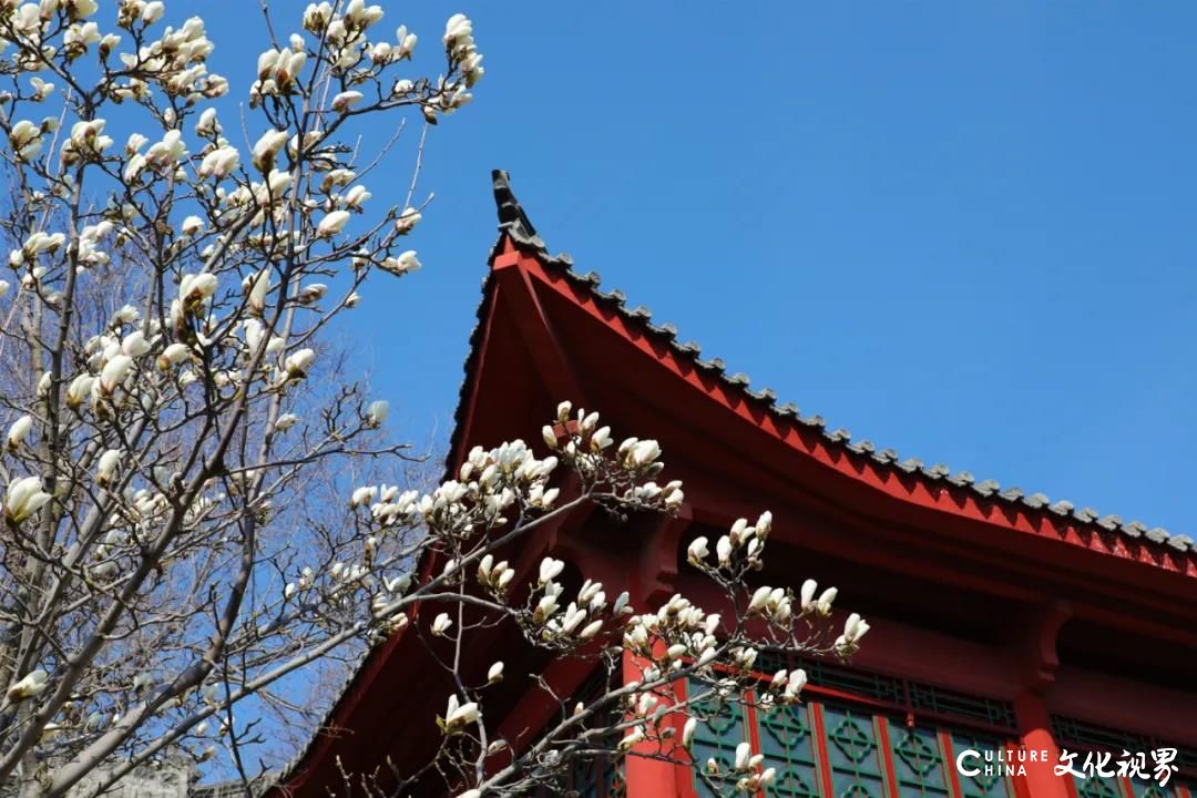 漾漾春日，用24小时探寻威海刘公岛的诗意生活
