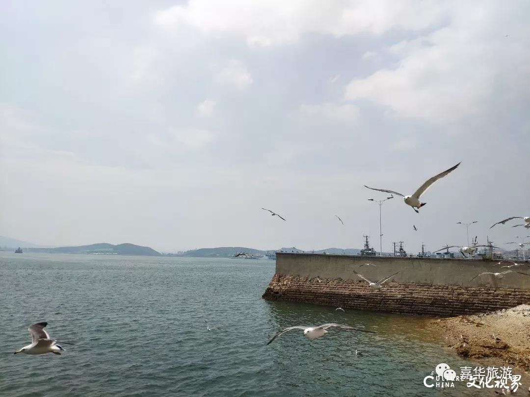 嘉华旅游|想看海玩水？五一假期来大连绝对不会让你失望